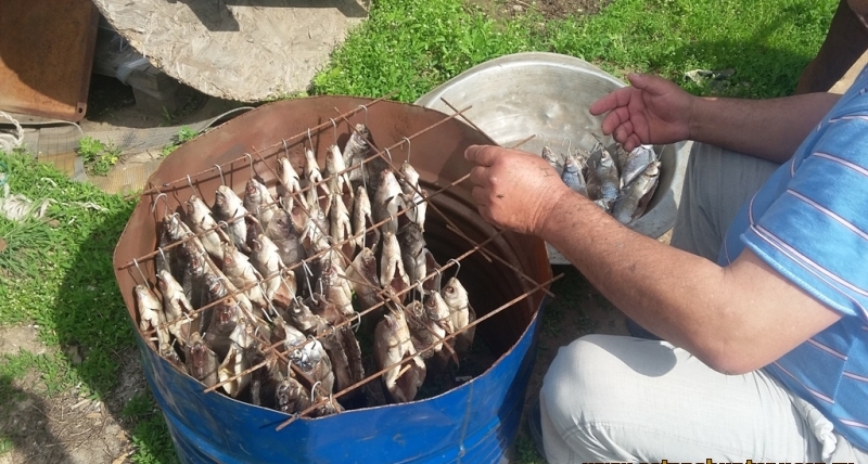 подготовка рыбы к копчению в бочке
