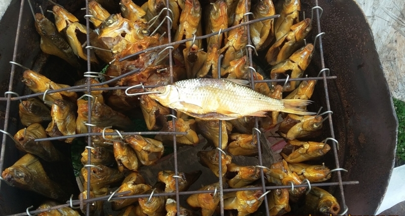 копчение рыбы в бочке
